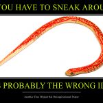 snake