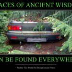 wisdom